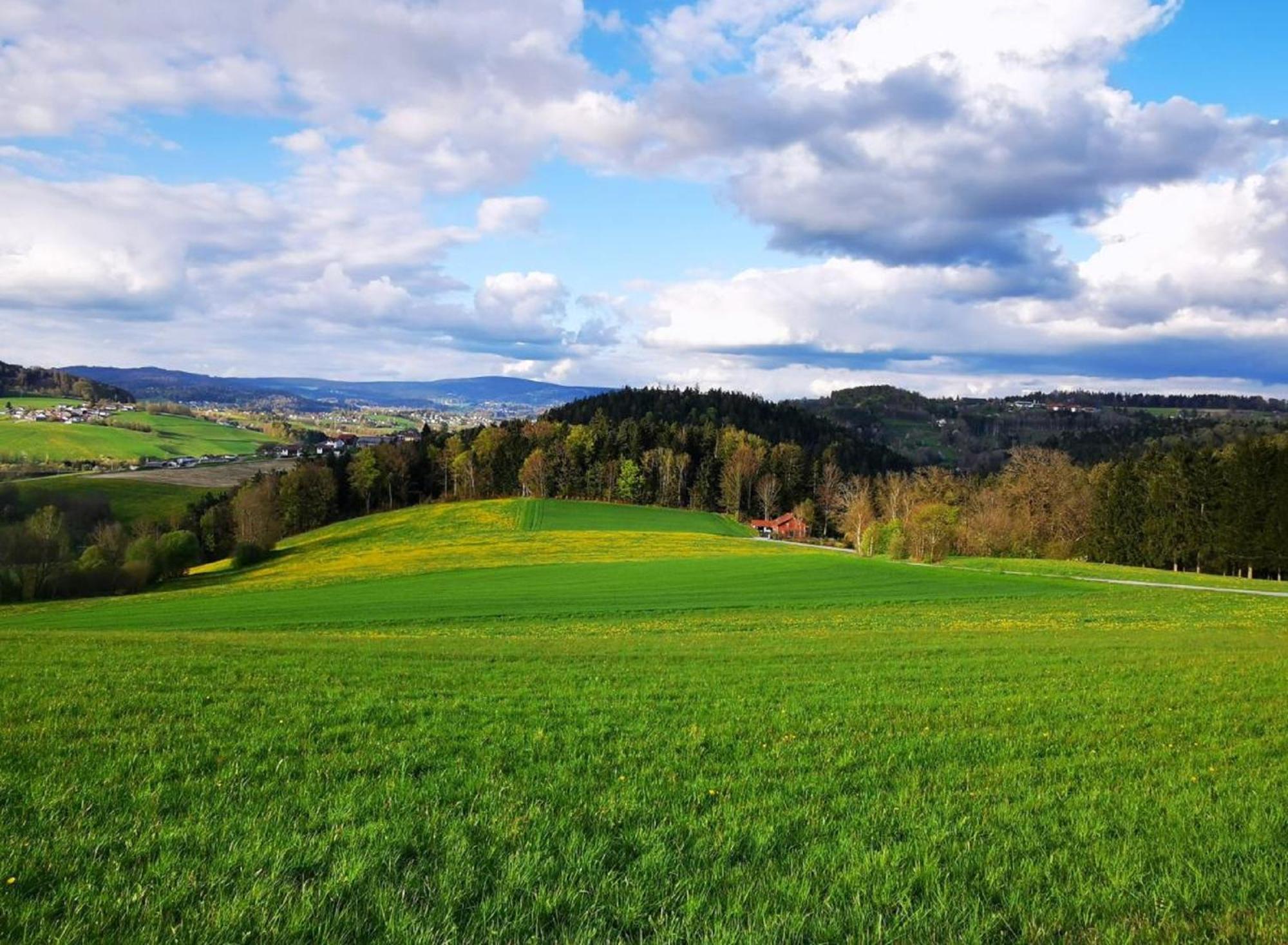 Ferienwohnung Am Woid - Herrliche Alleinlage - Vegane Einrichtung วัลด์เคอร์เชิน ภายนอก รูปภาพ