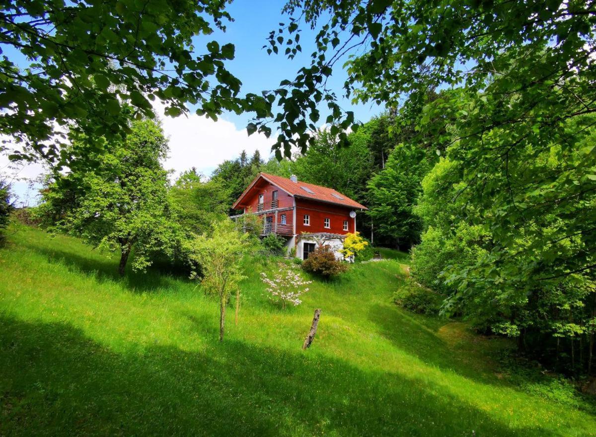Ferienwohnung Am Woid - Herrliche Alleinlage - Vegane Einrichtung วัลด์เคอร์เชิน ภายนอก รูปภาพ